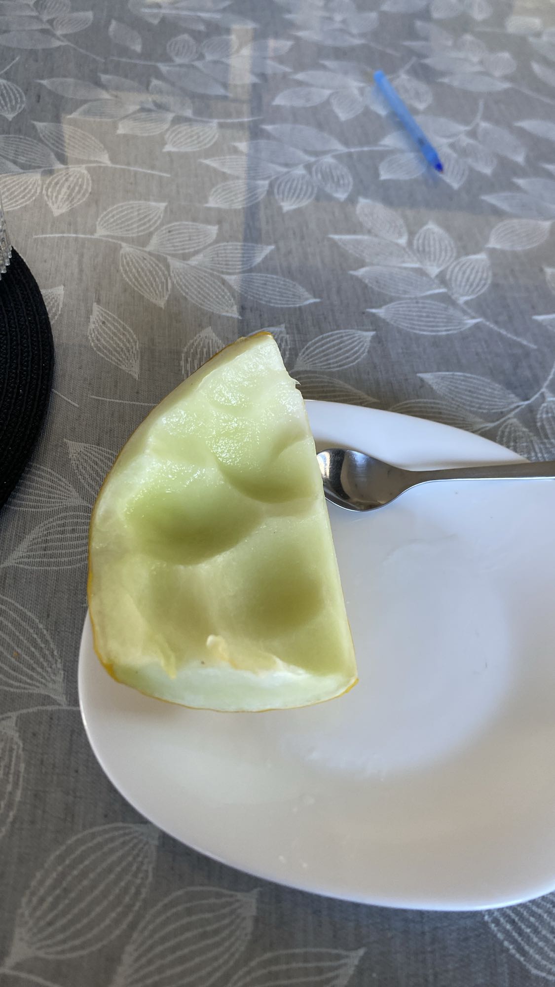 Melon kawałek