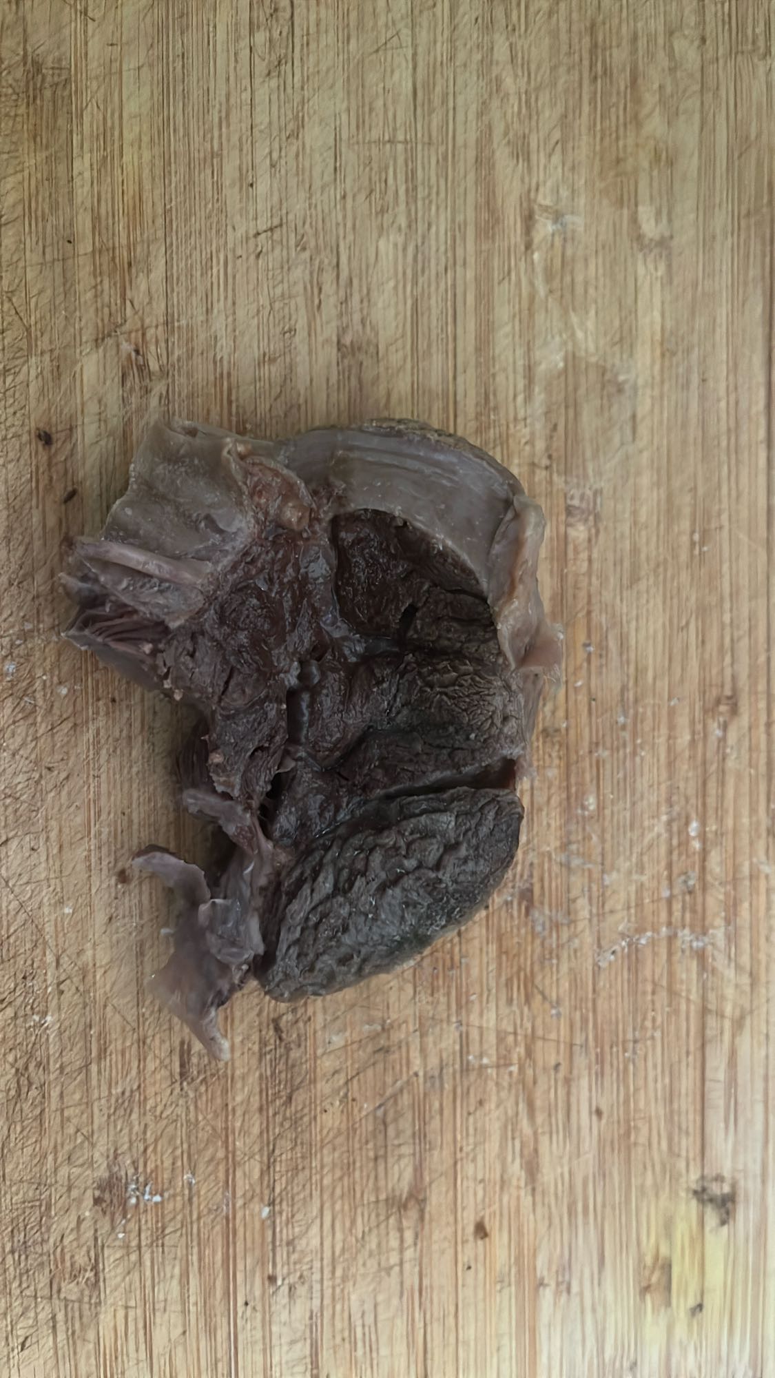 Viande d'organe bouillie