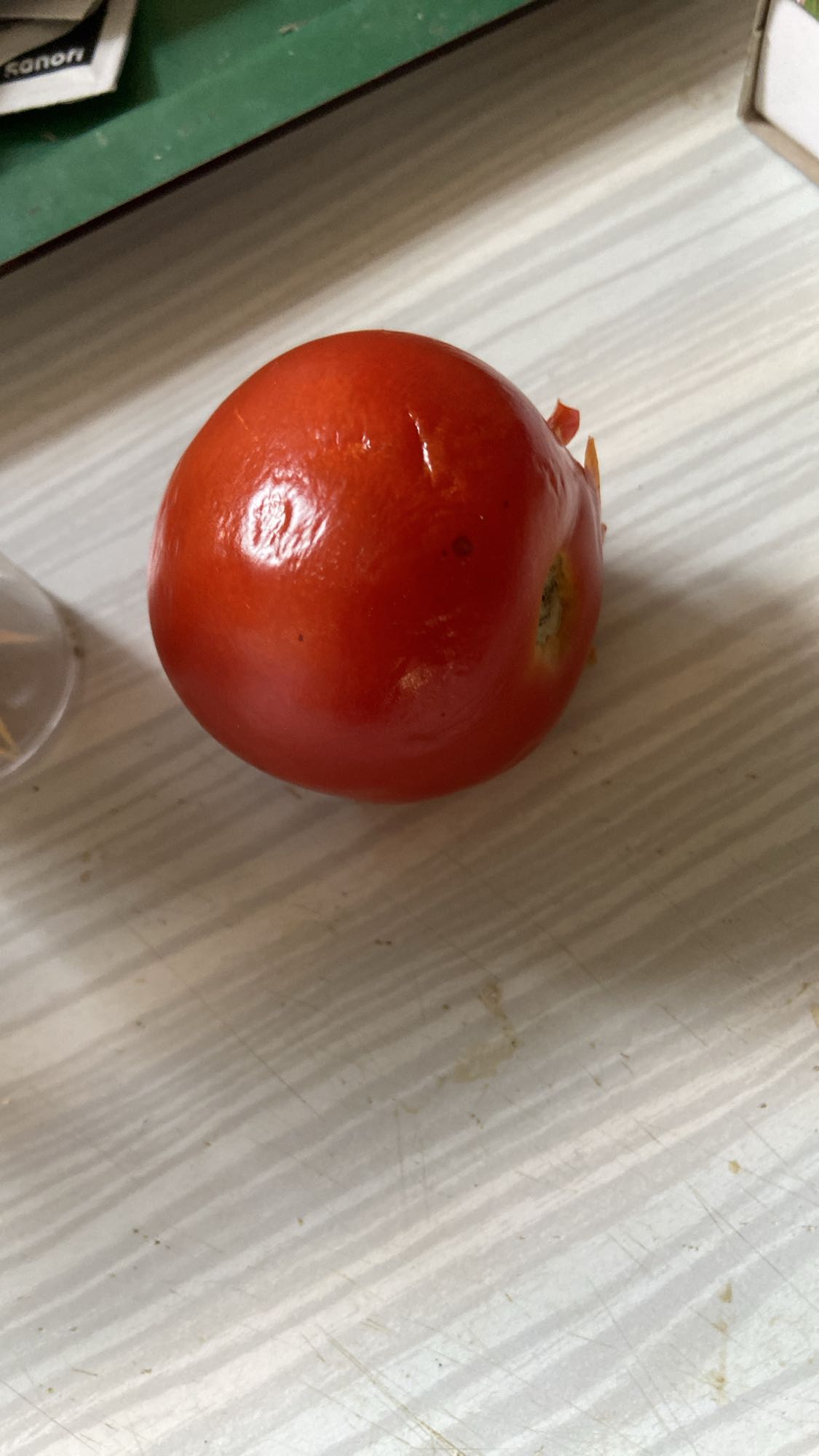 Tomate fraîche