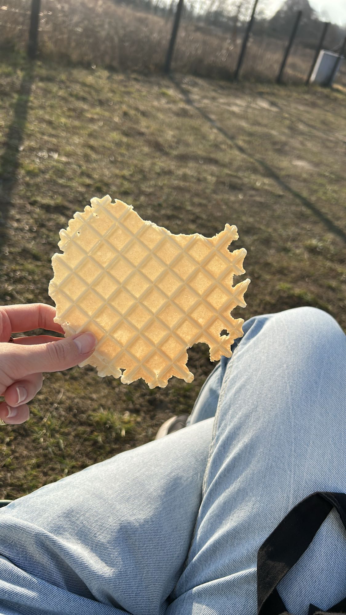 Wafel