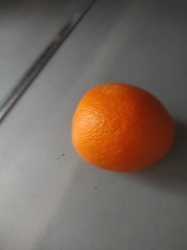 Fresh Orange