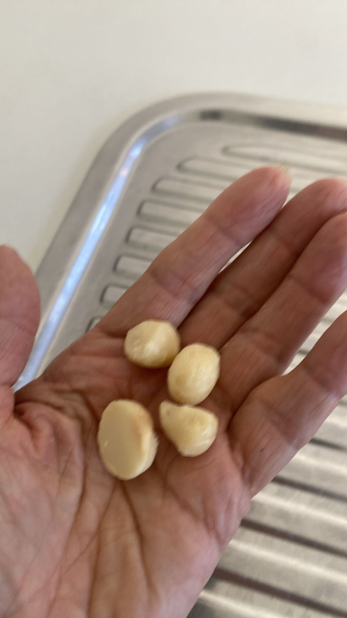 Macadamia Nuts