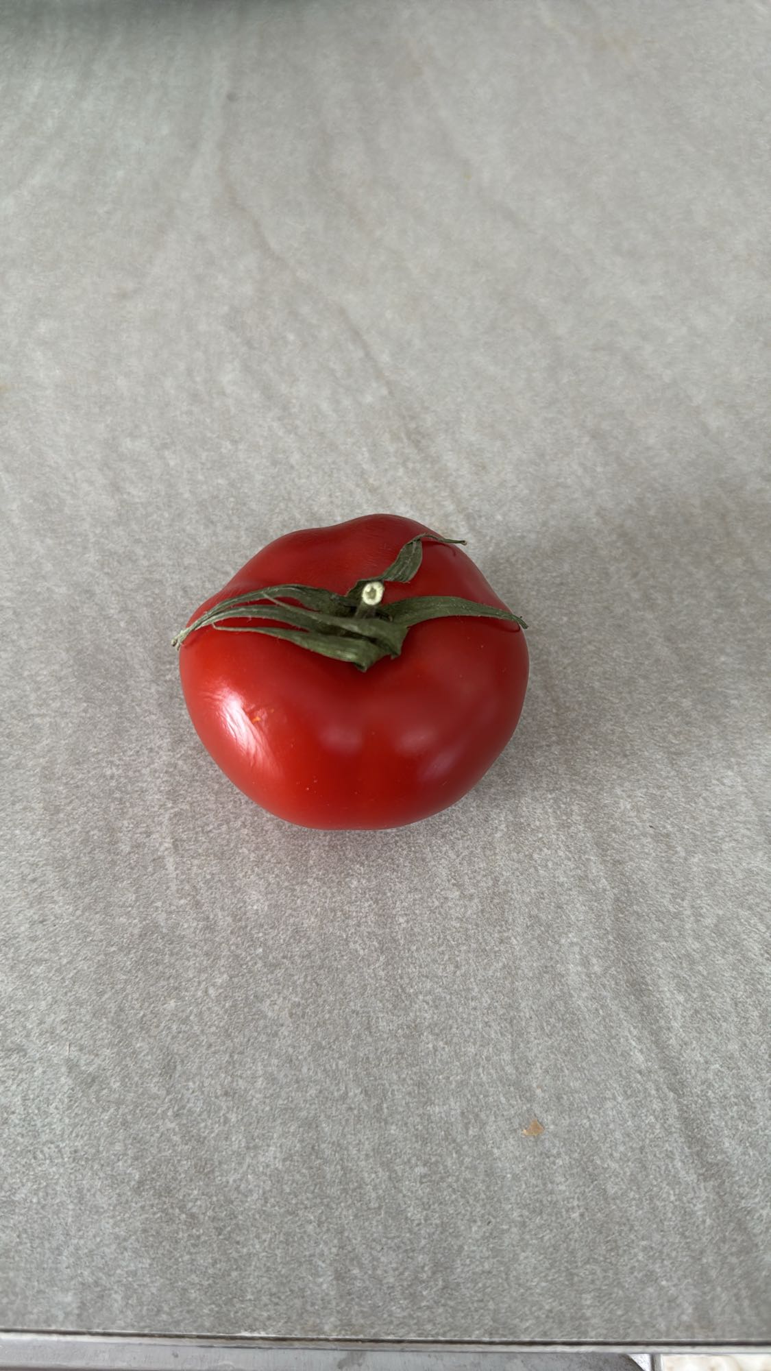 Tomate fraîche