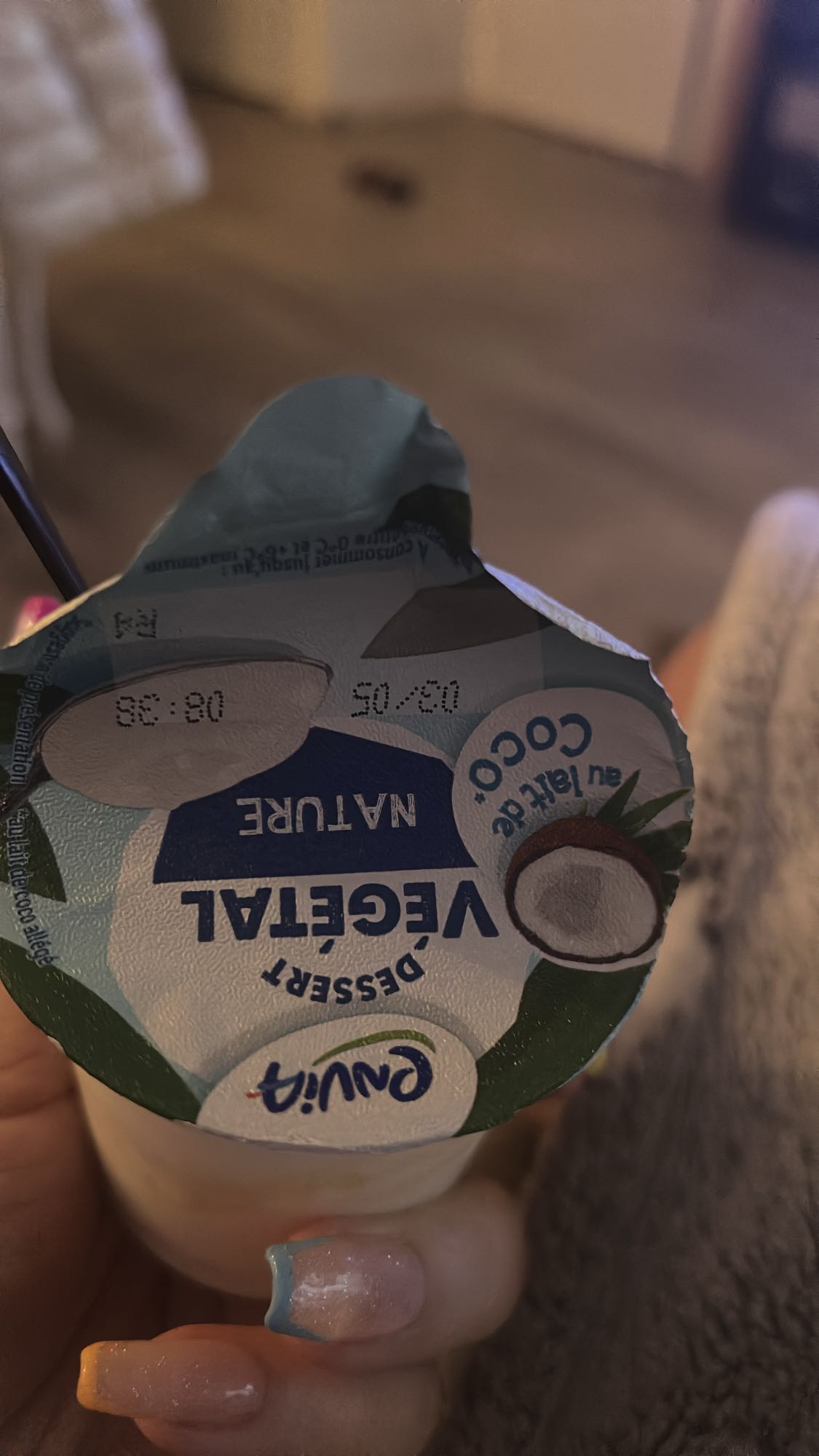 Dessert végétal nature