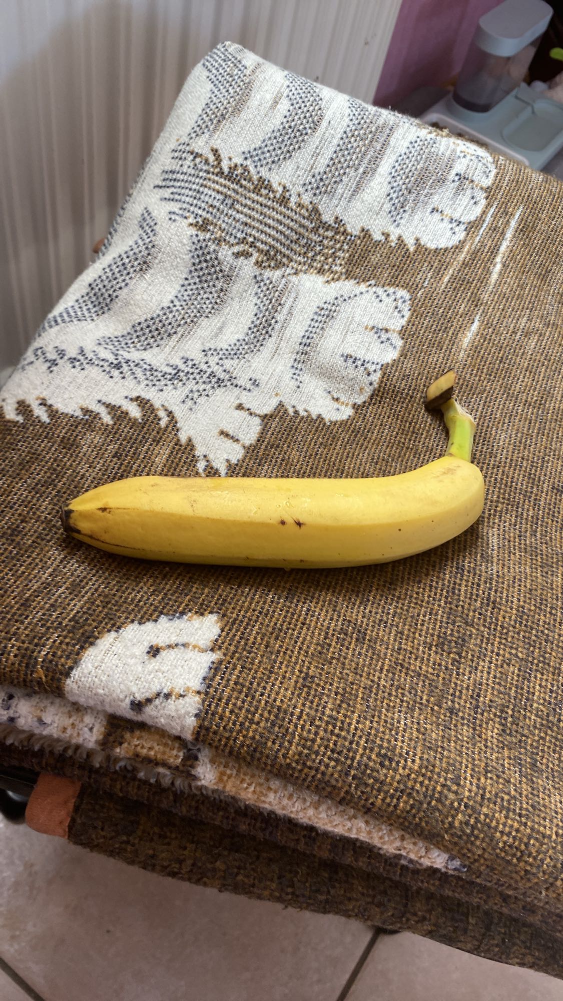 Banane fraîche