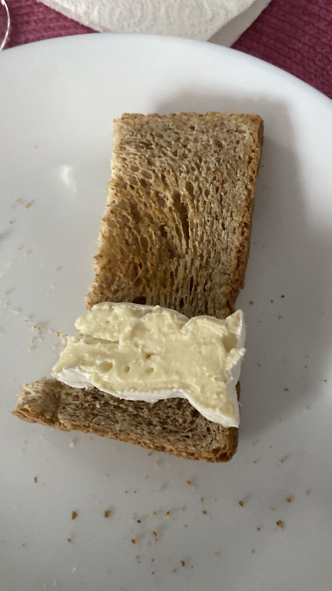 Tartine au fromage