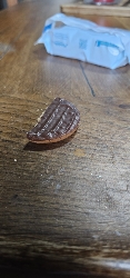 Biscuit au chocolat