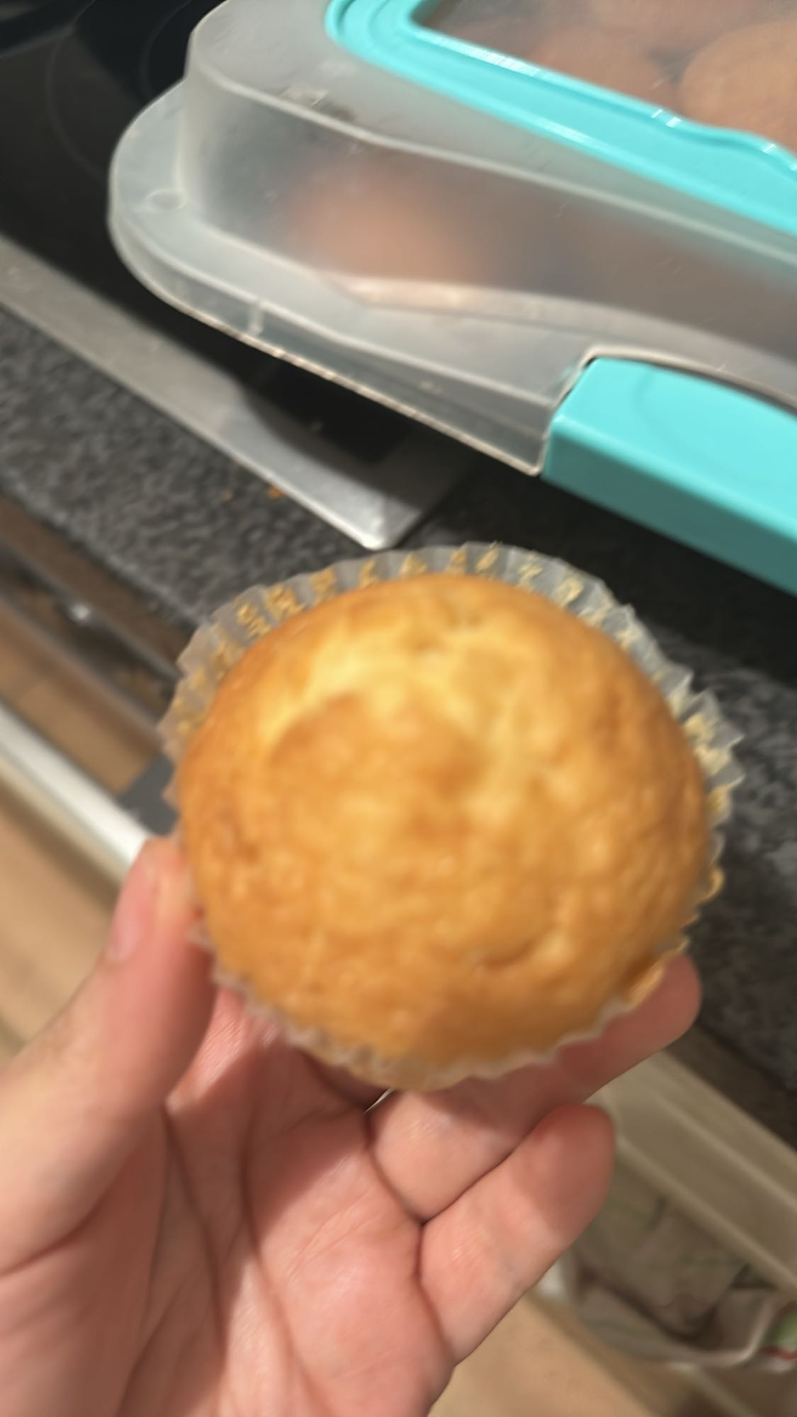 Vanille Muffin