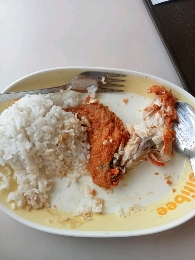 Fried Chicken with Rice