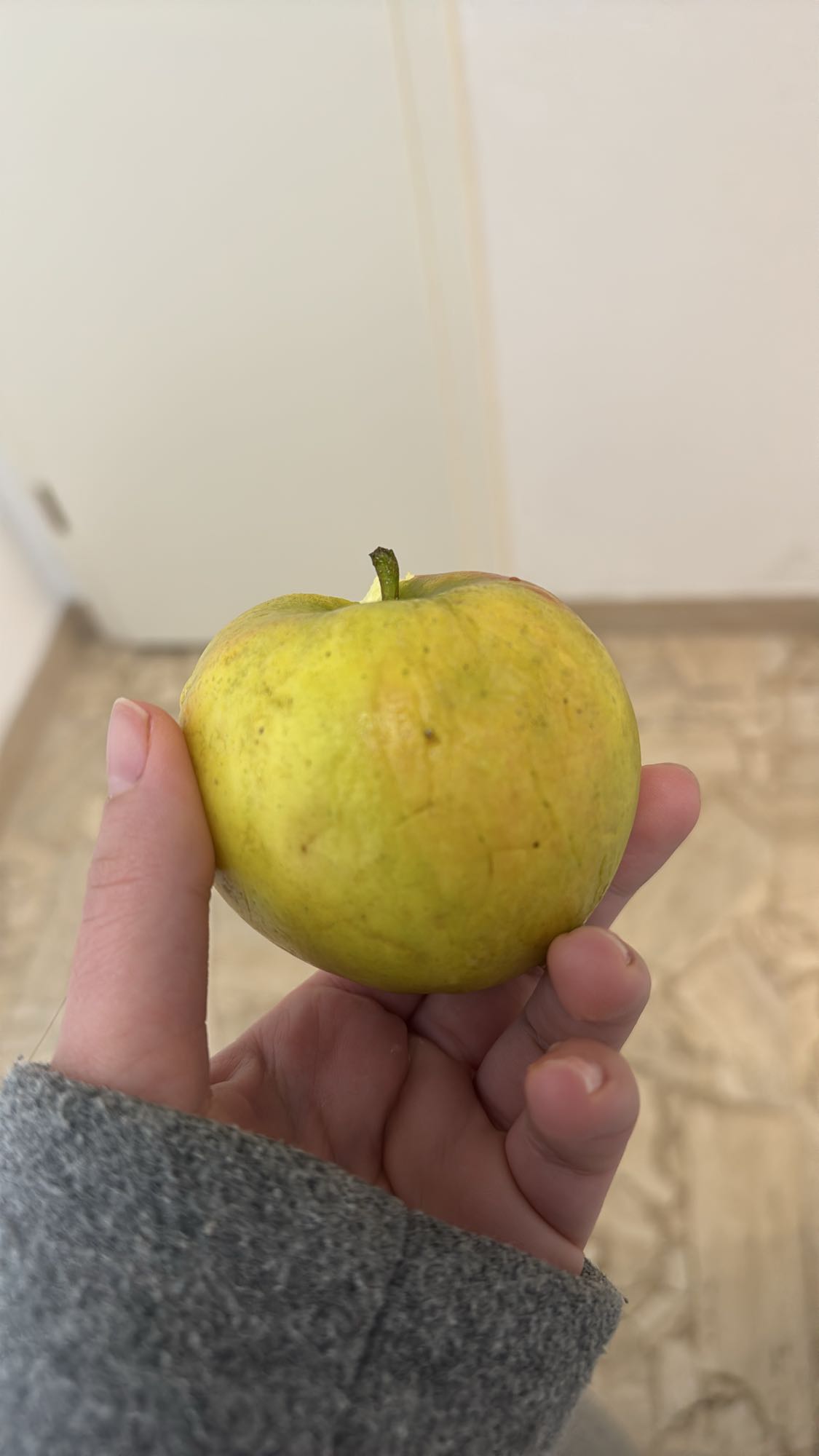 Apfel