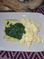 Kartoffeln mit Spinat und Ei