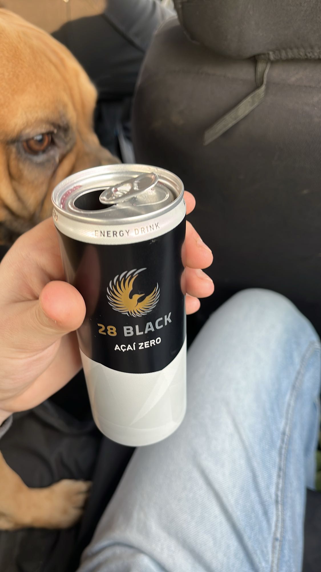 28 BLACK AÇAÍ ZERO