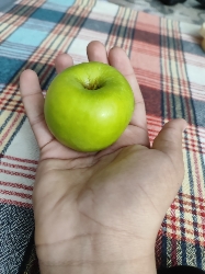 Green Apple