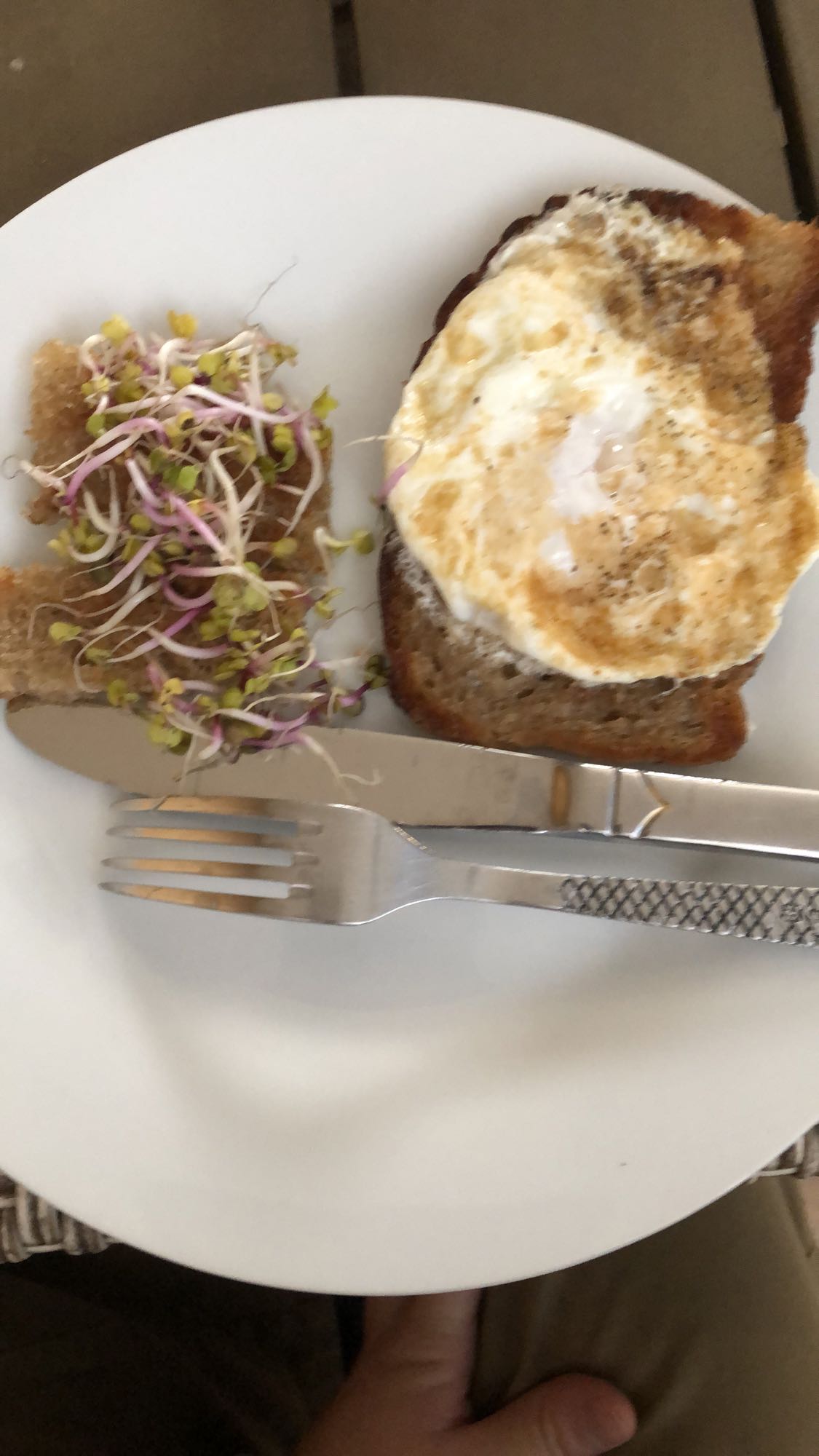 Tost z jajkiem i kiełkami