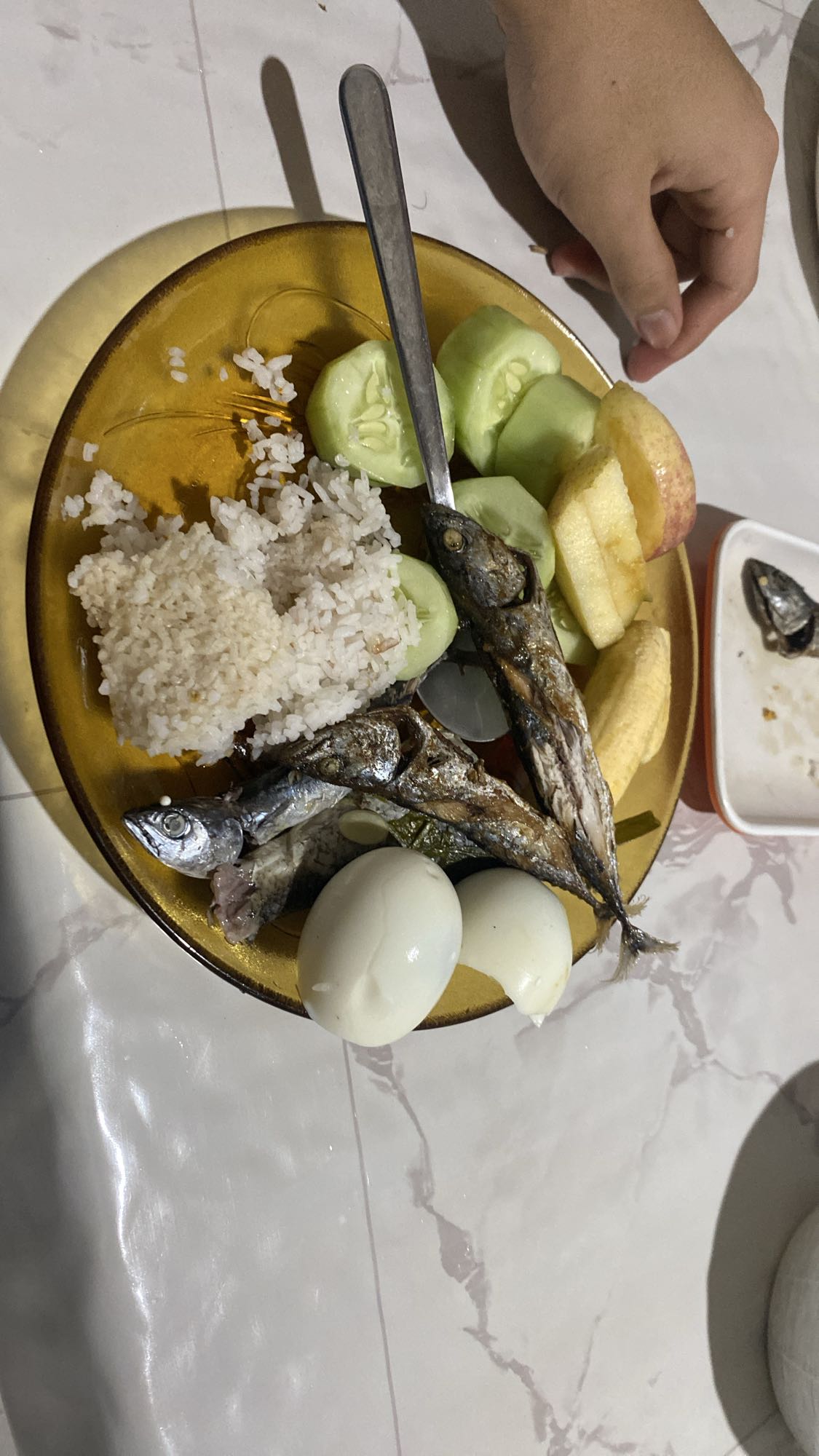 Balanced Protein Meal