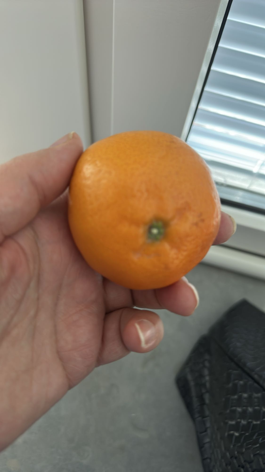 Mandarin Orange