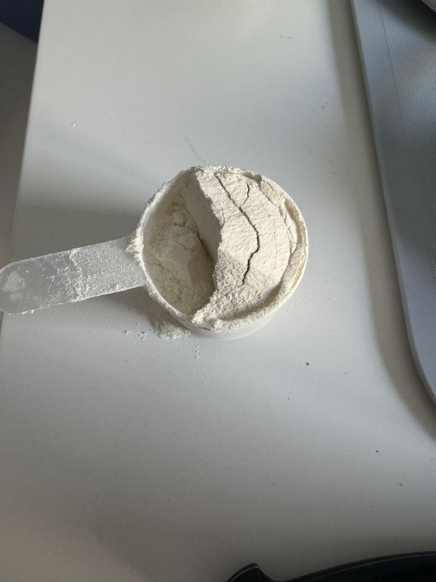 Protein Powder Scoop