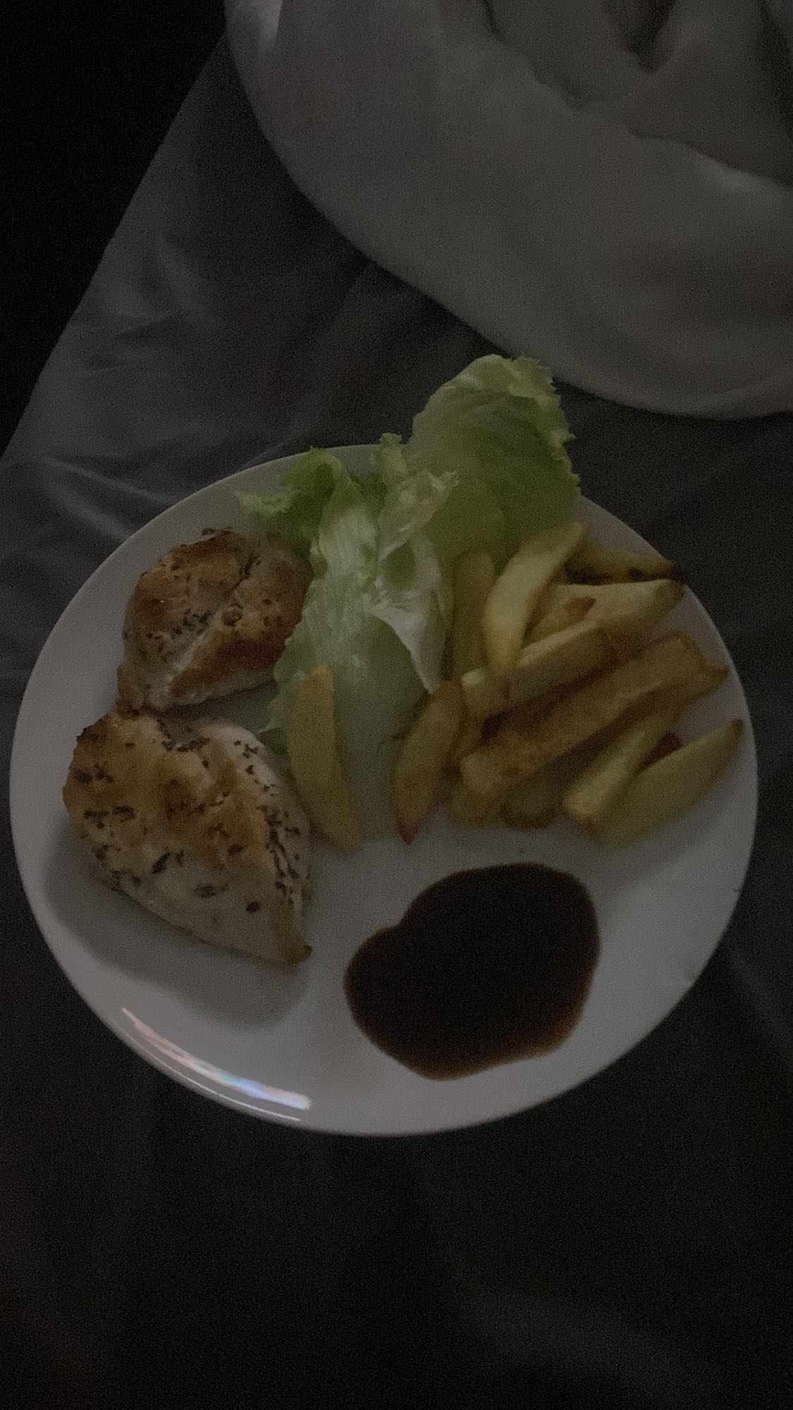 Grilled Chicken with Fries