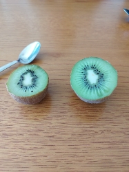 Kiwi frais