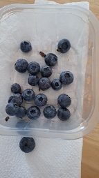 Heidelbeeren Snack