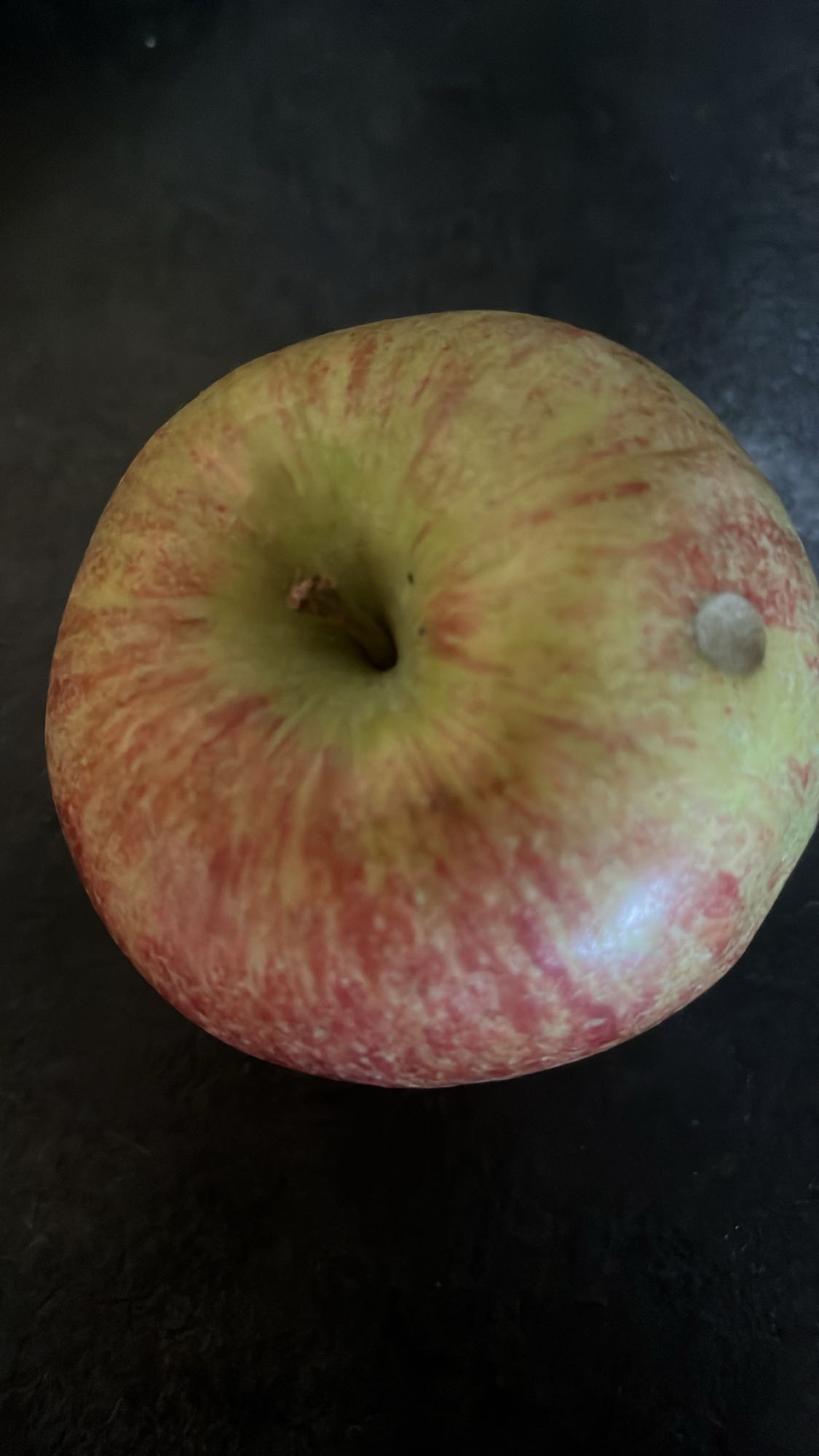 Pomme fraîche