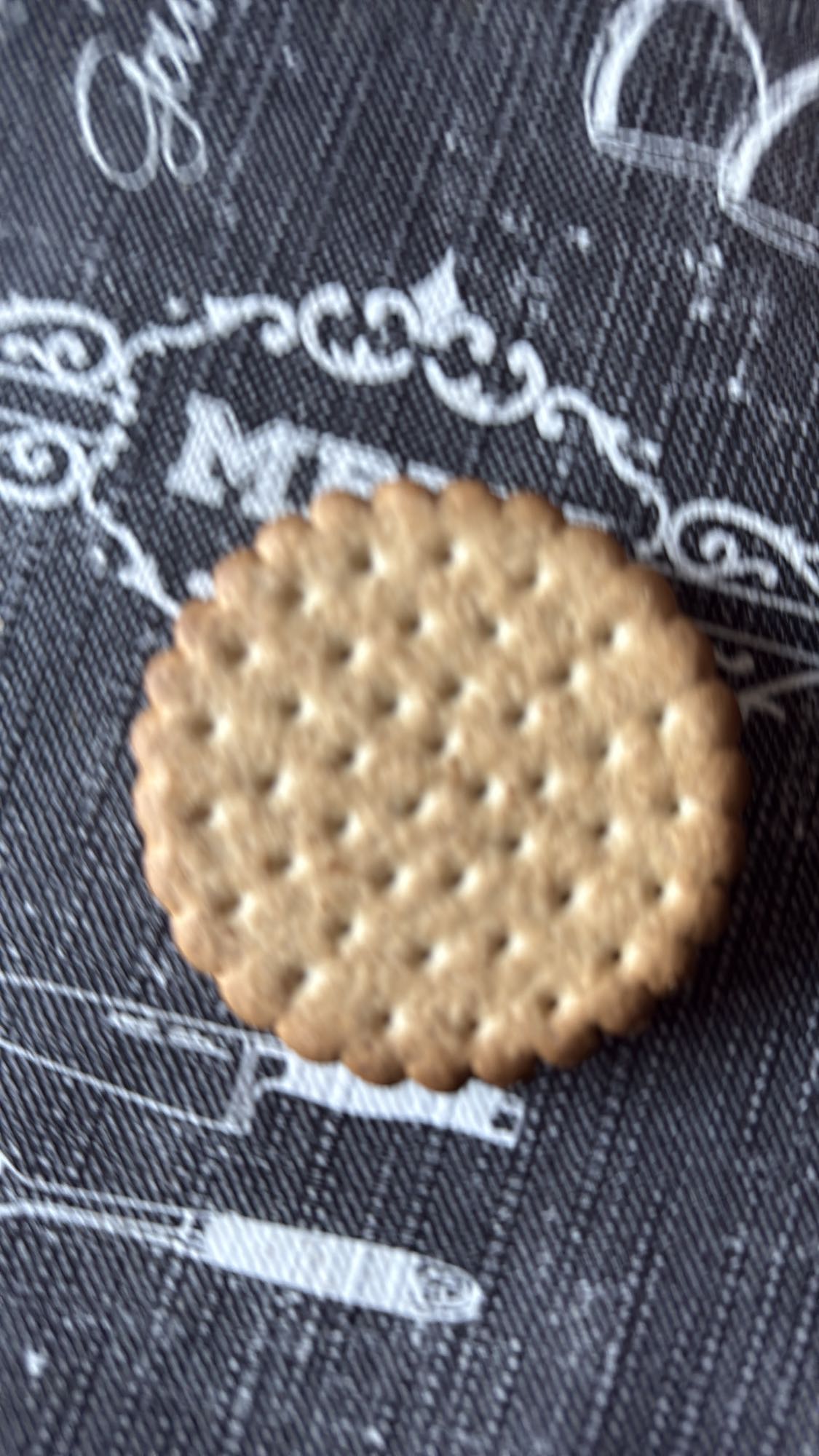 Biscuit sec nature
