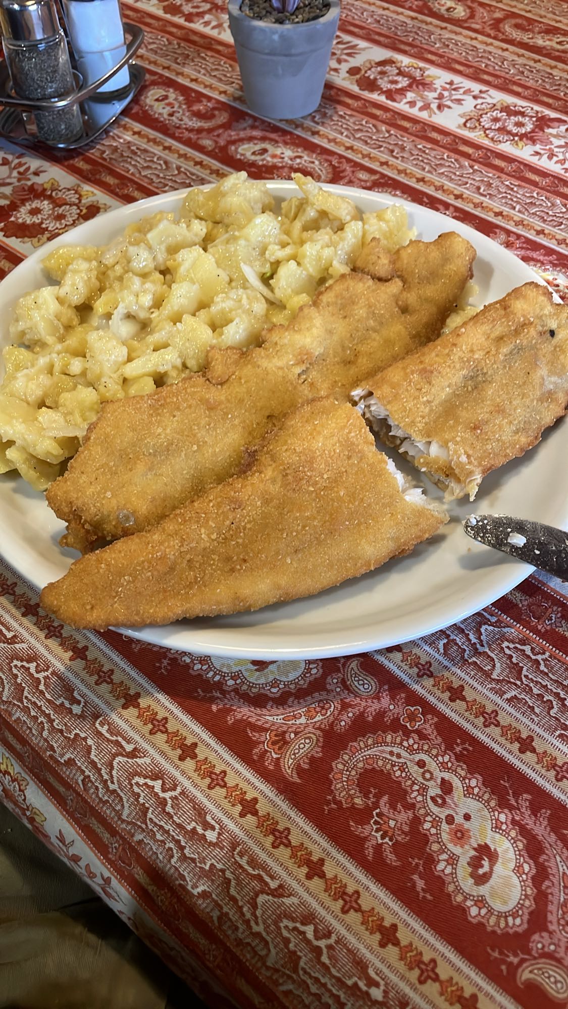 ocvrti file ribe s solato