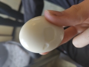 Boiled Egg