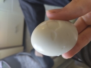 Boiled Egg