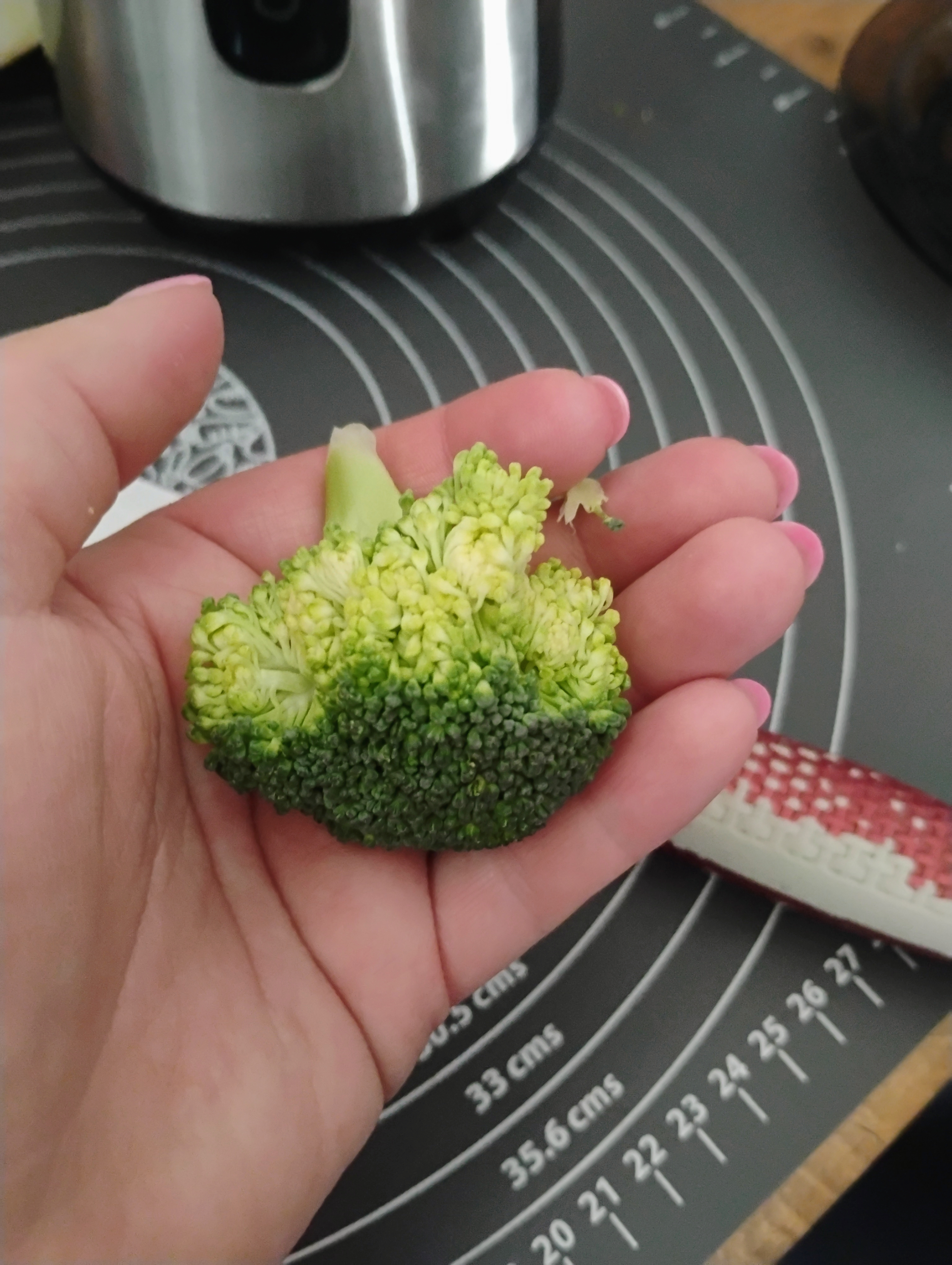 Raw Broccoli Floret
