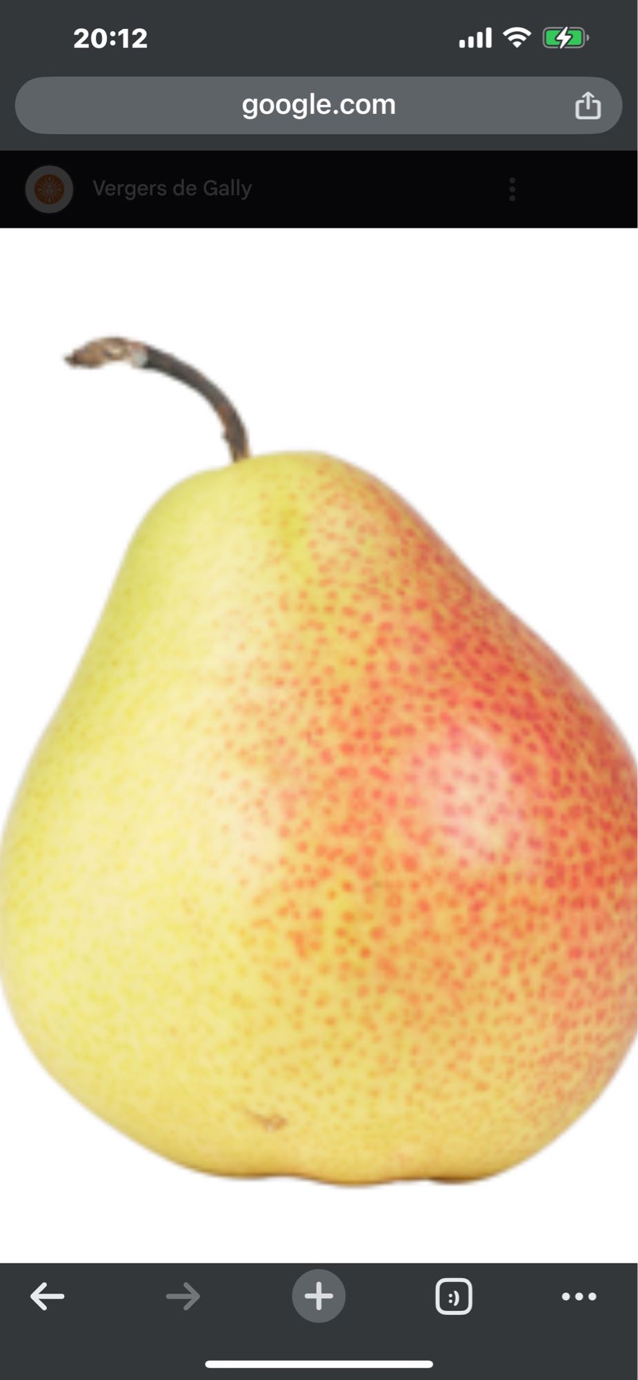 Poire fraîche