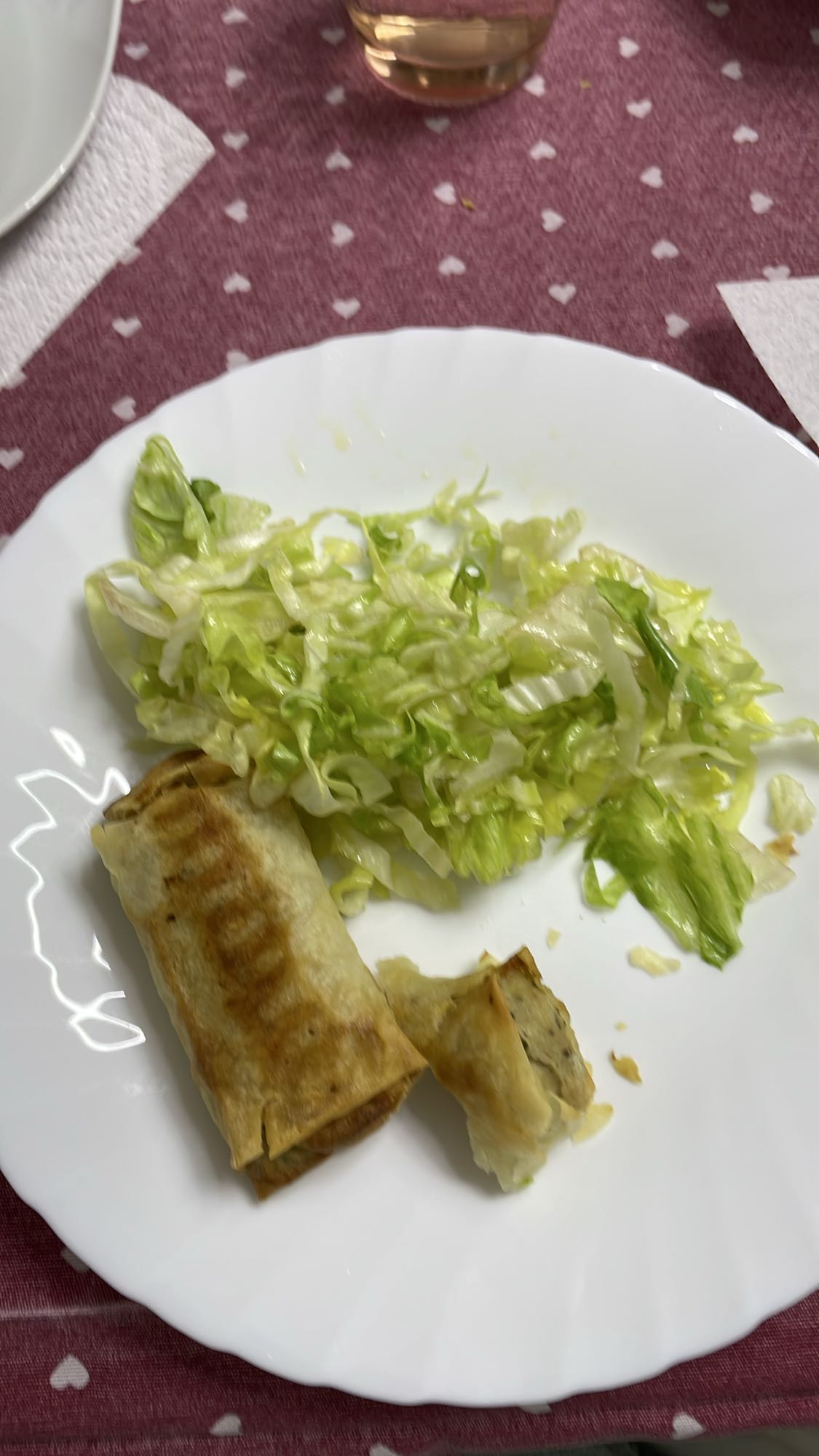 Spring Roll with Salad