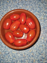 Schüssel Kirschtomaten