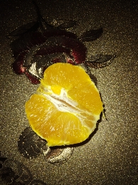 Fresh Orange Half