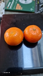 Mandarines fraîches