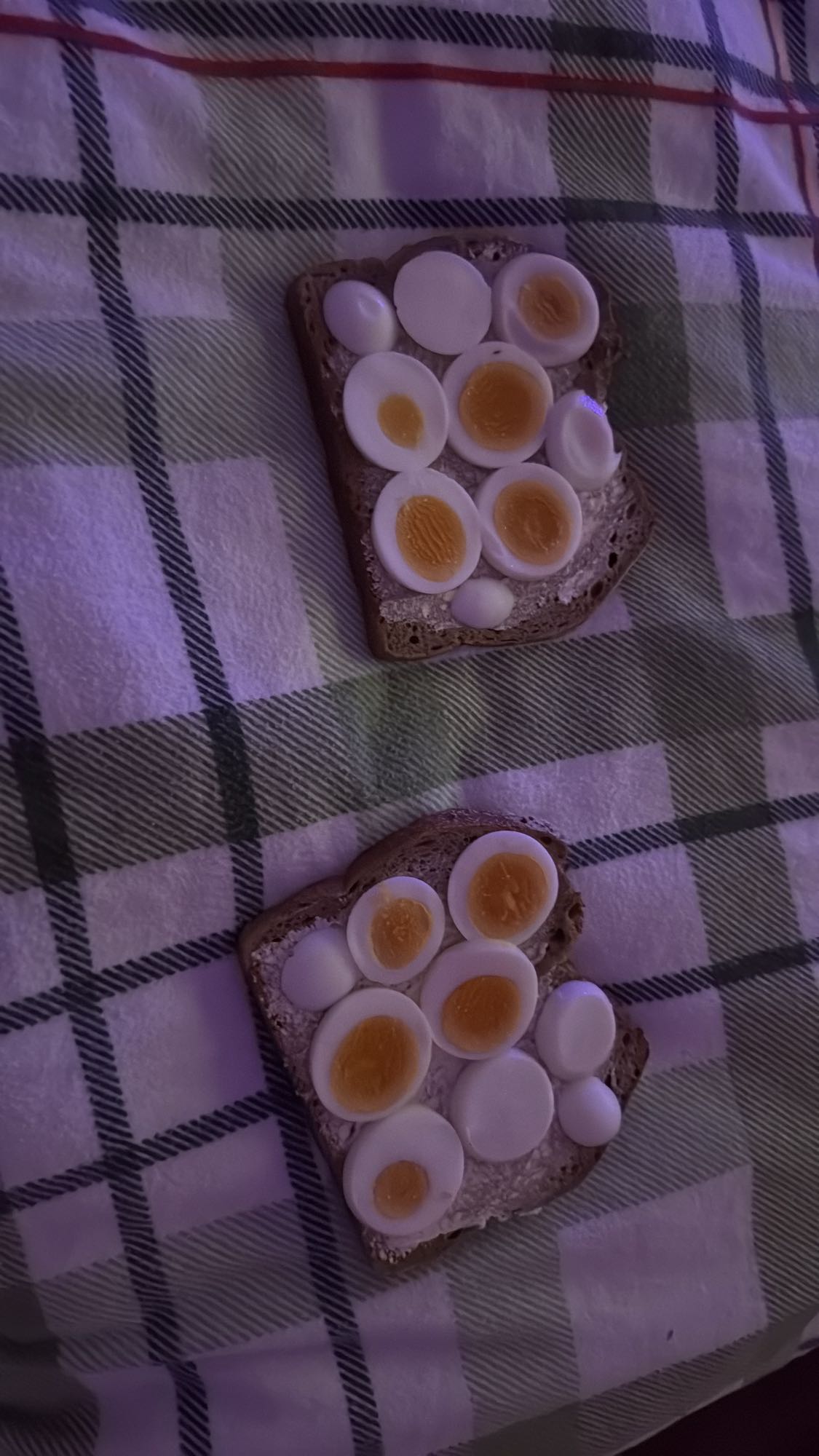 Eibrote mit Vollkorn