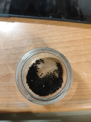 Black Seed Portion