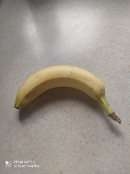 Single Banana