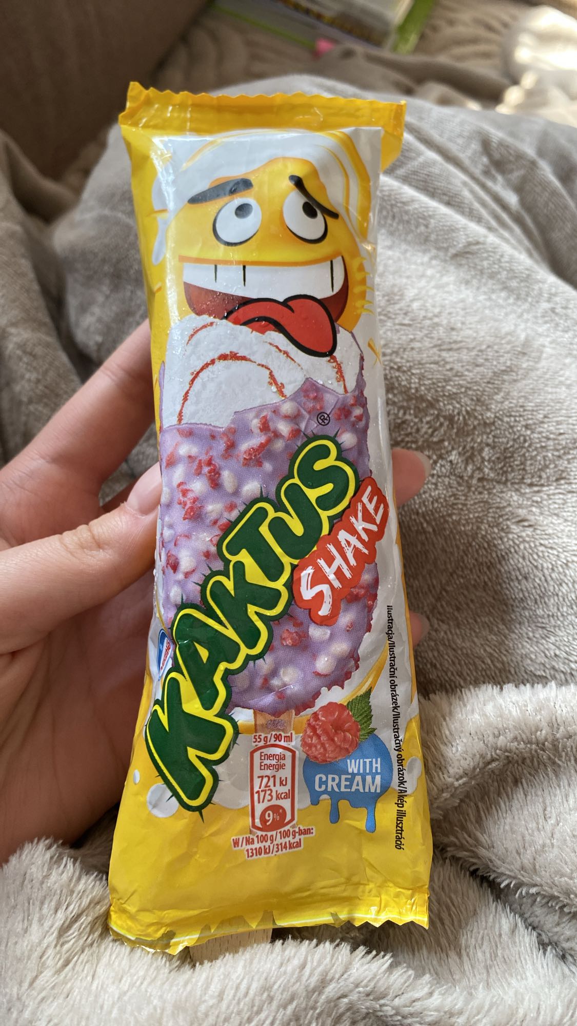 Kaktus Shake Ice Cream