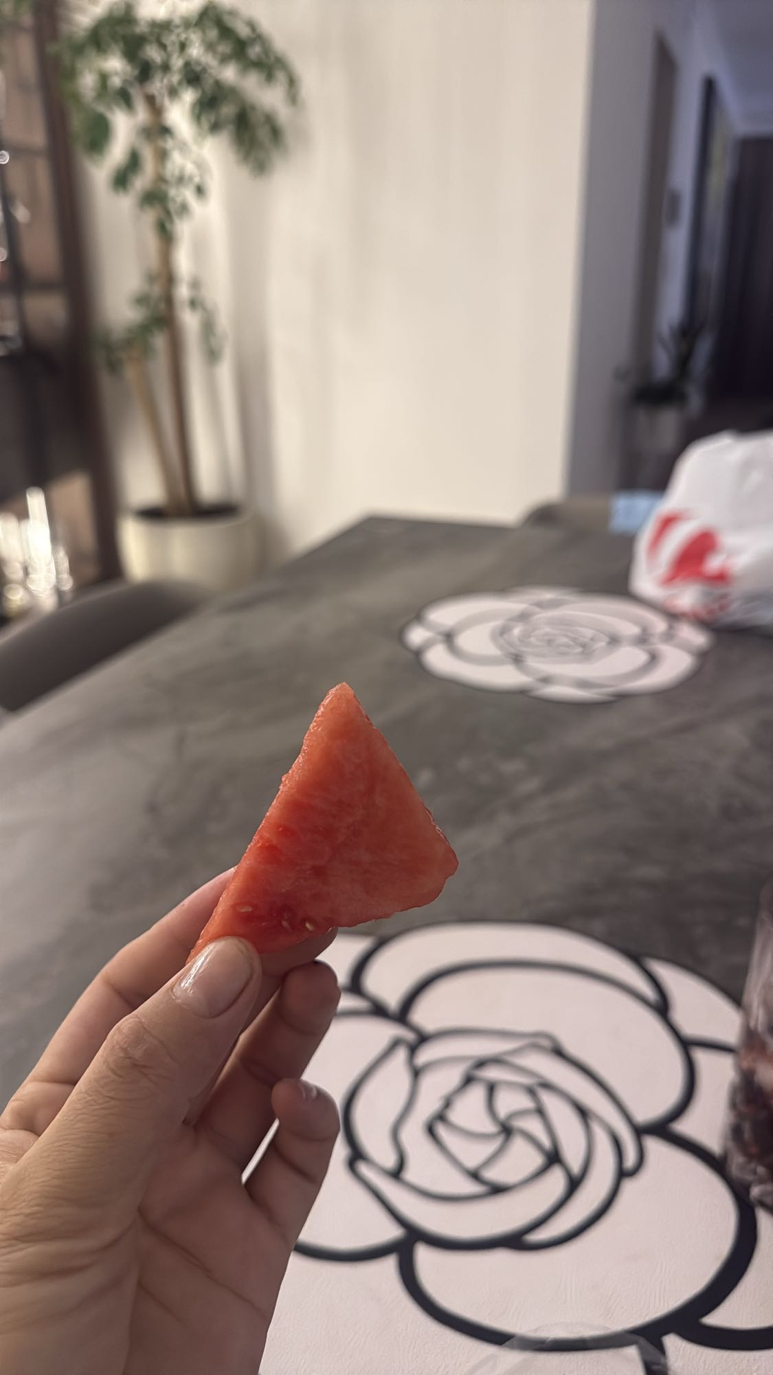 Watermelon Slice