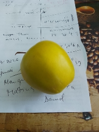 Pomme jaune