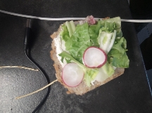 Veggie Open Sandwich