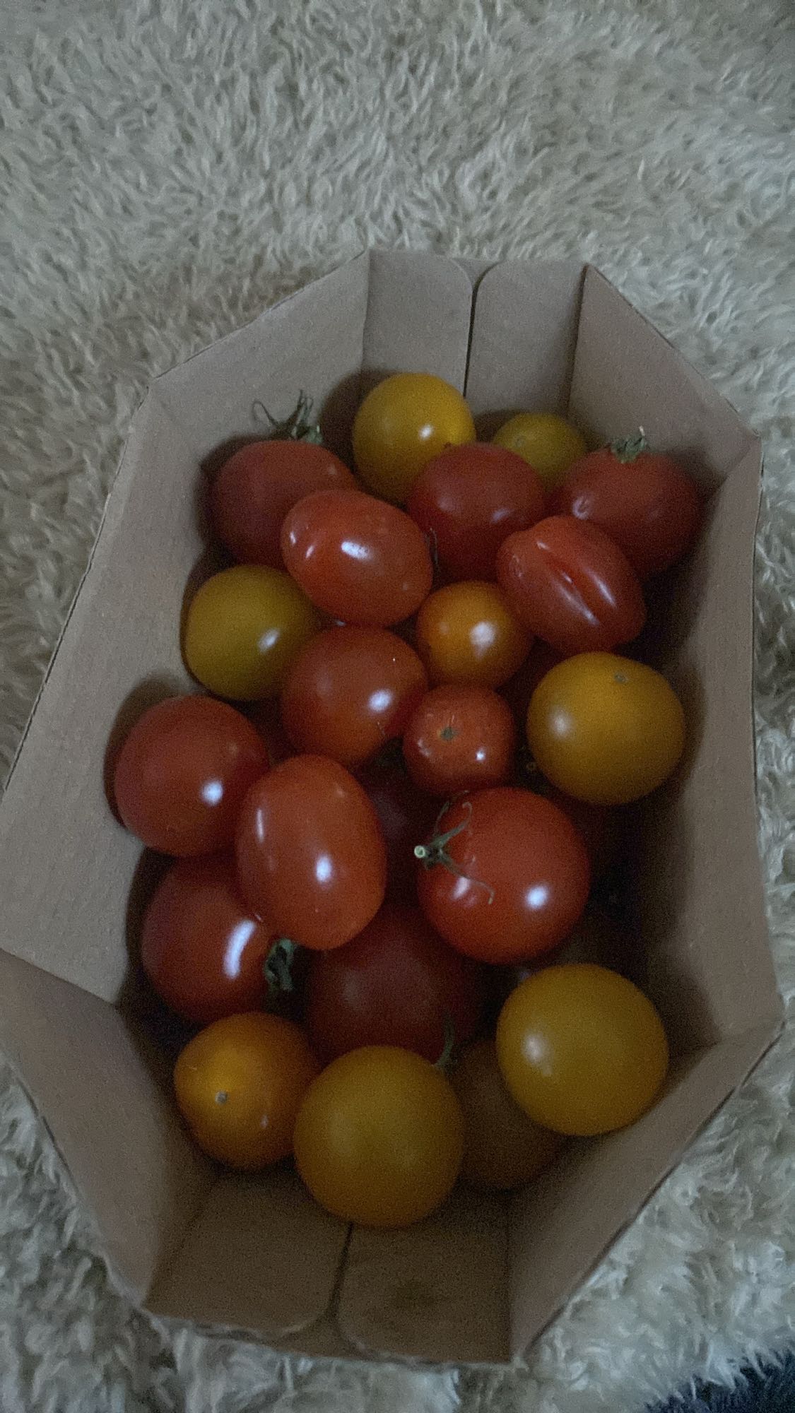 Tomates cerises mixtes