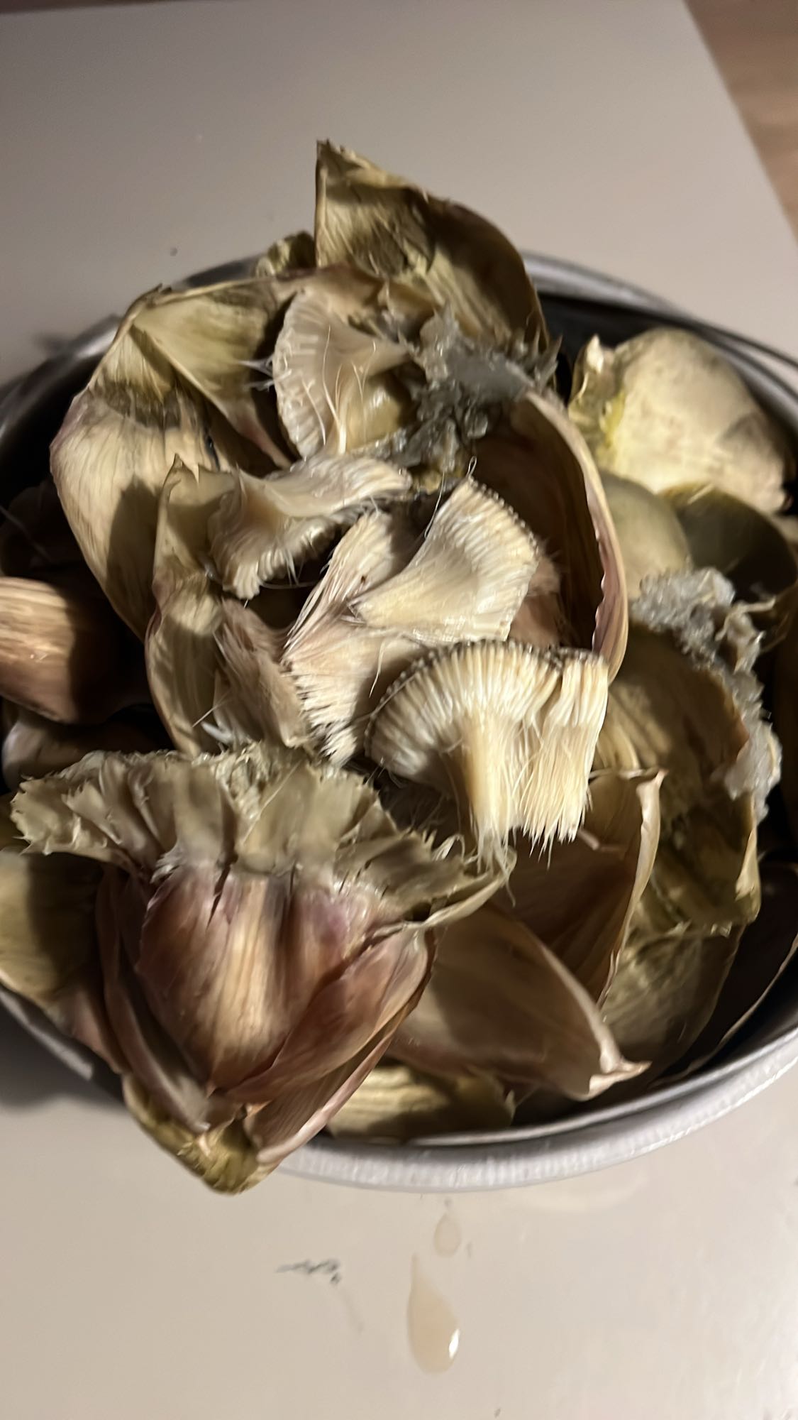 Feuilles d'artichaut