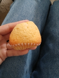 Vanilla Muffin