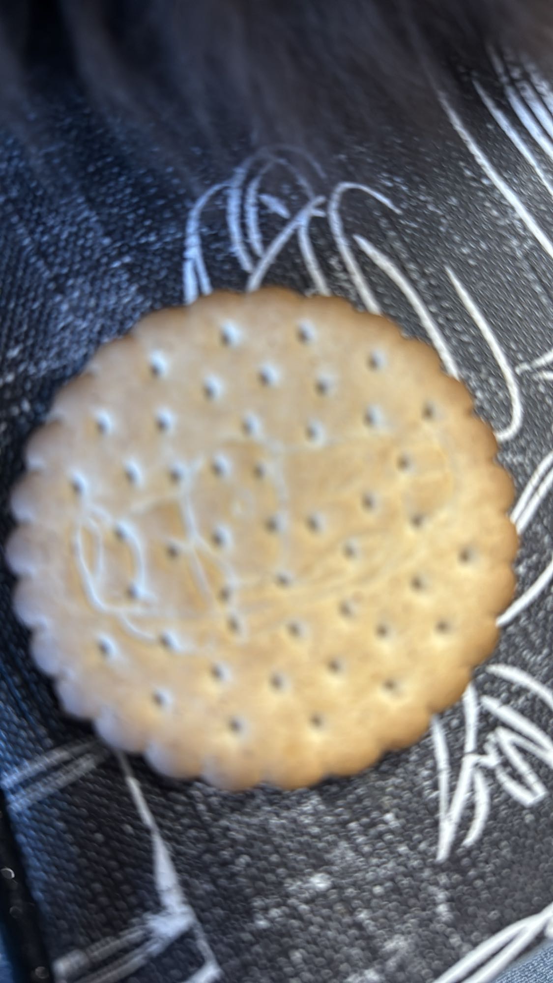 Biscuit sec nature