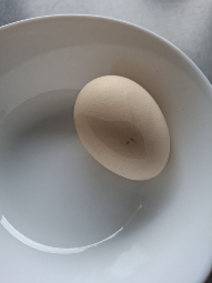 Boiled Egg