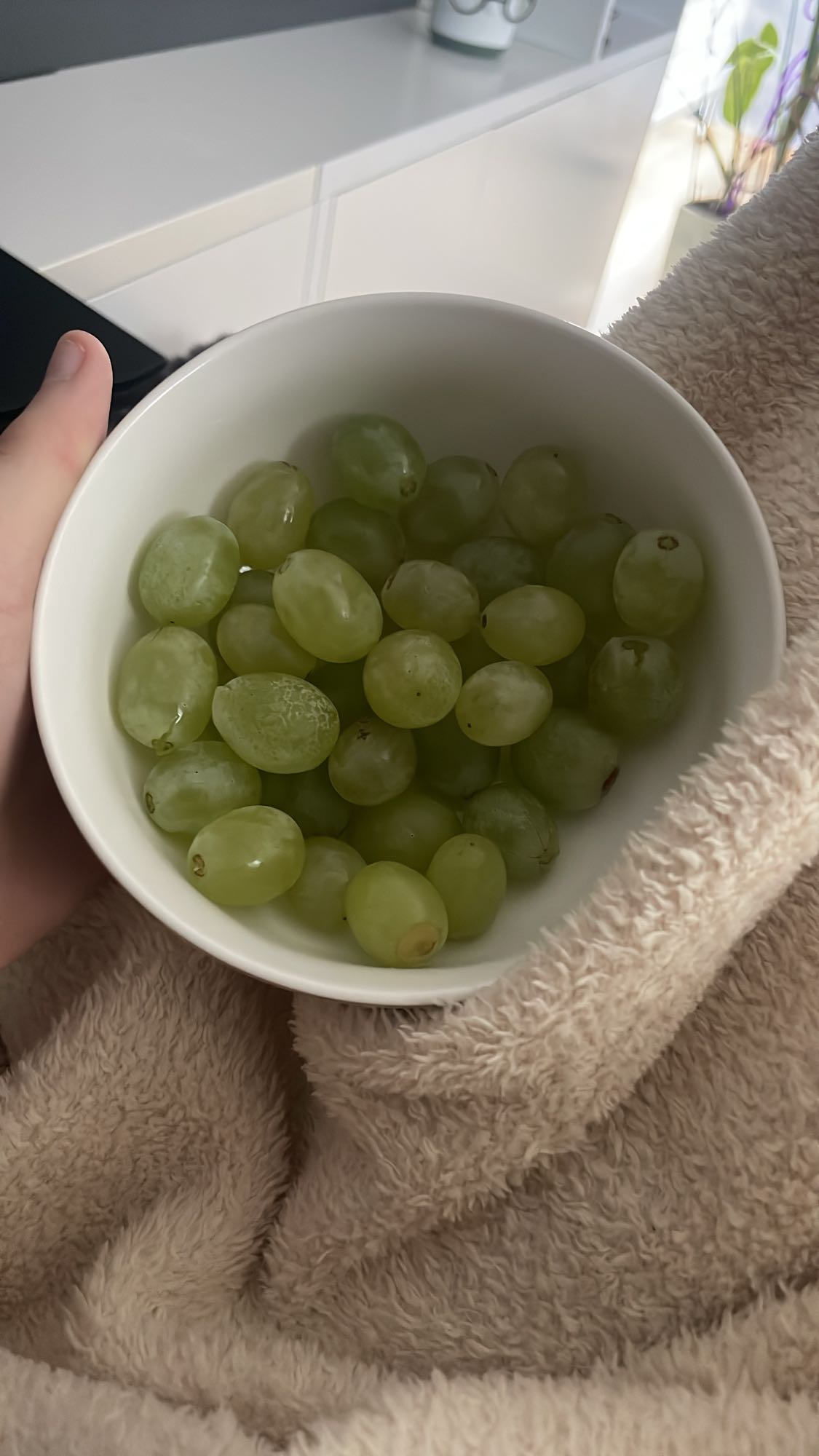 miska zielonych winogron