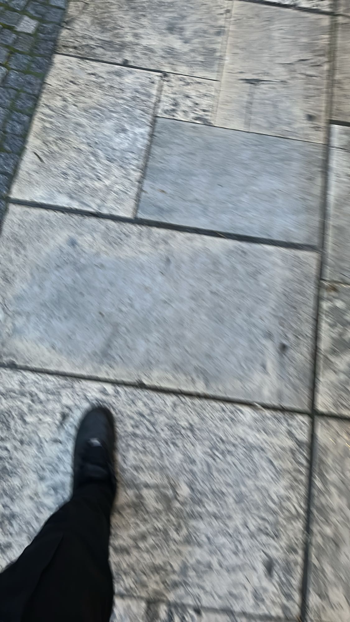 No meal detected
