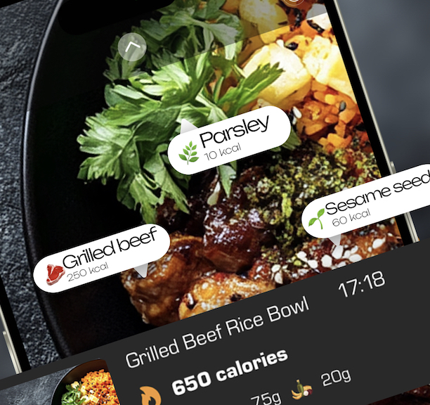 Grilled Beef Rice Bowl